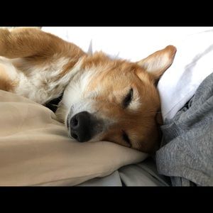 Meet your Posher, Tony